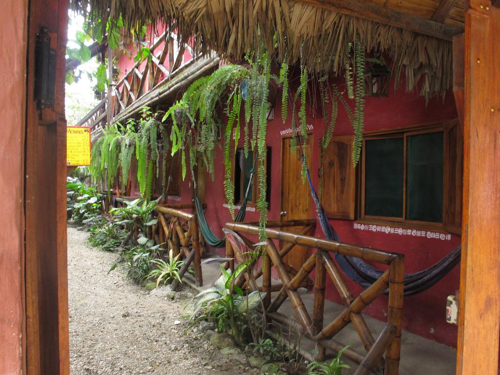 Hostal Mamacucha Montañita 外观 照片